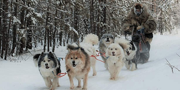 Foto - Gitmesek de görmesek de Yakut Türkleri bizim akrabalarımız