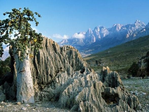 Foto - Gizemli bir ada: Sokotra