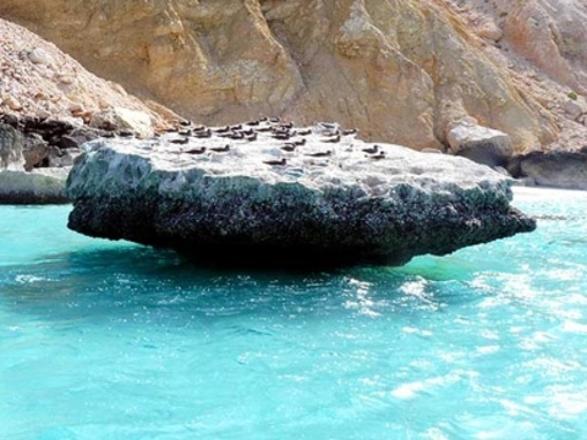 Foto - Gizemli bir ada: Sokotra