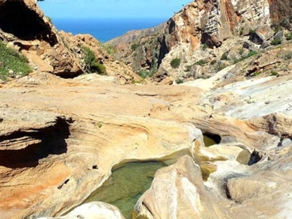 Foto - Gizemli bir ada: Sokotra