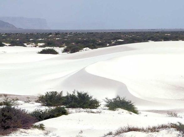 Foto - Gizemli bir ada: Sokotra