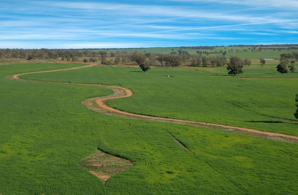 Foto - Gizemli bir şirket ve milyarderler buradan gizlice arsa ve arazi topluyor! Her yere ev dikeceler