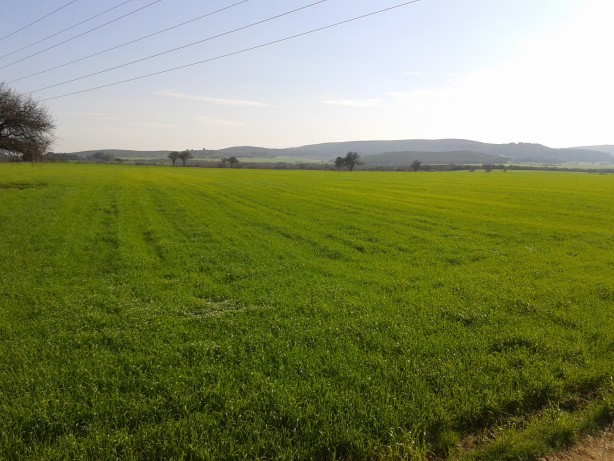 Foto - Gizemli bir şirket ve milyarderler buradan gizlice arsa ve arazi topluyor! Her yere ev dikeceler