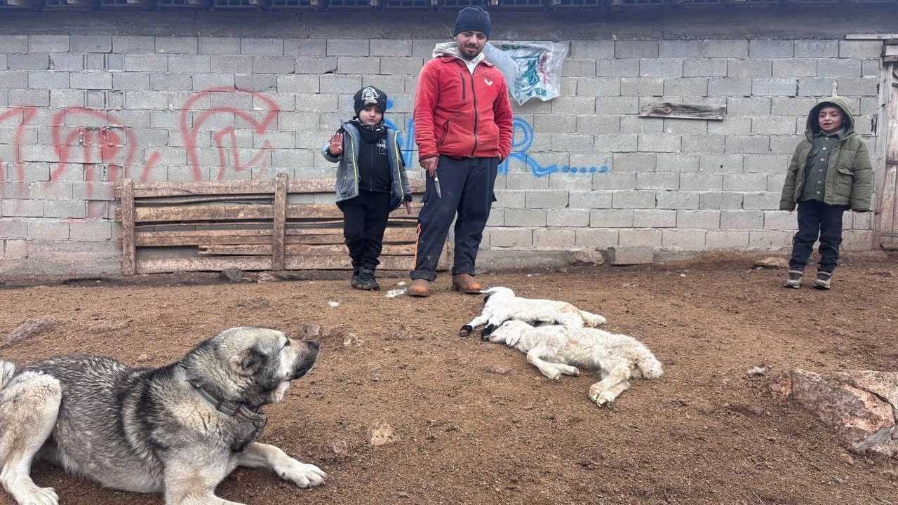 Gizemli hastalık Erzincan’ı korkuttu: Bir anda düşüp ölüyorlar!