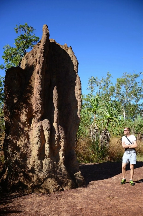 Foto - Gizemli hayvan yuvaları