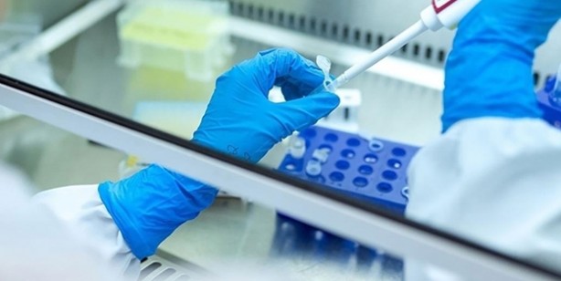 Gizemli hepatit nedir?