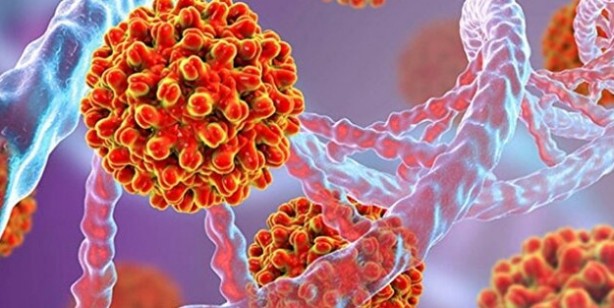 Foto - Gizemli hepatit nedir?