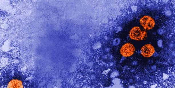 Foto - Gizemli hepatit nedir?