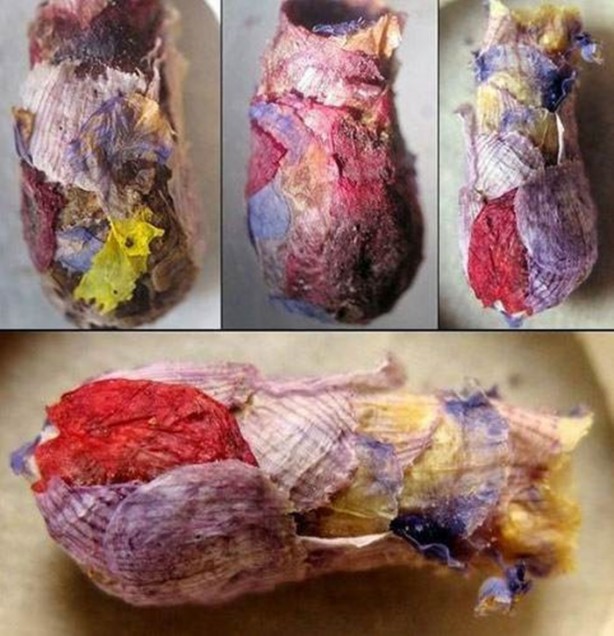 Foto - Gizemli yuvalar