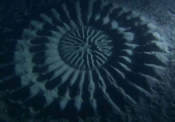 Foto - Gizemli yuvalar