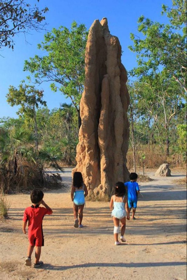 Foto - Gizemli yuvalar