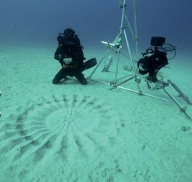 Foto - Gizemli yuvalar