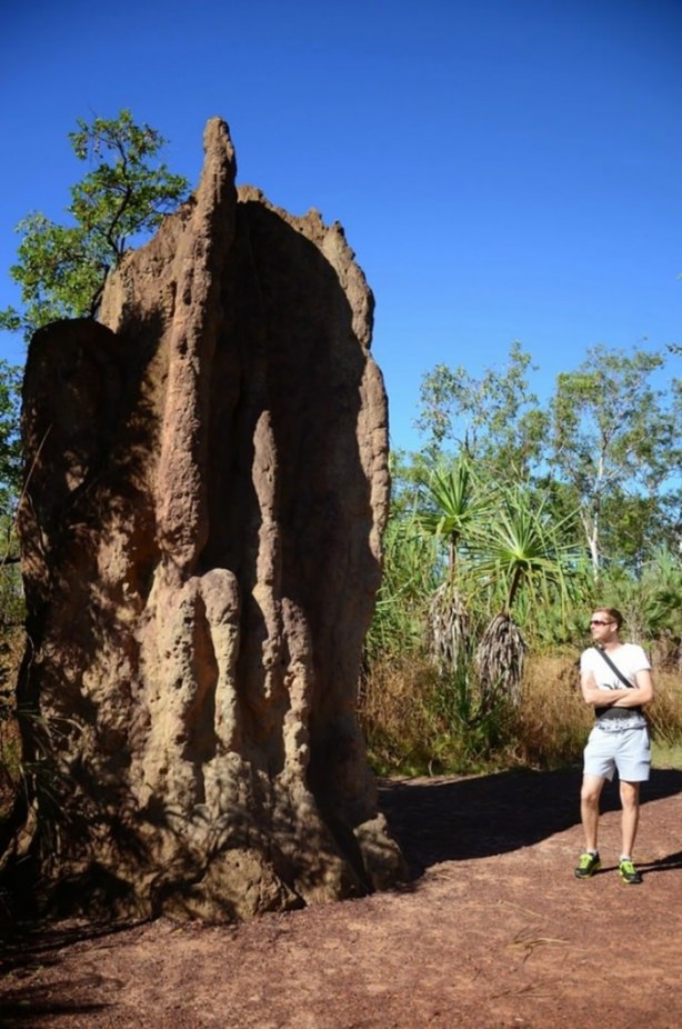 Foto - Gizemli yuvalar