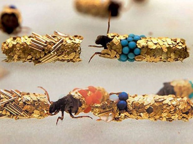 Foto - Gizemli yuvalar