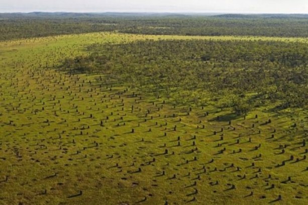 Foto - Gizemli yuvalar