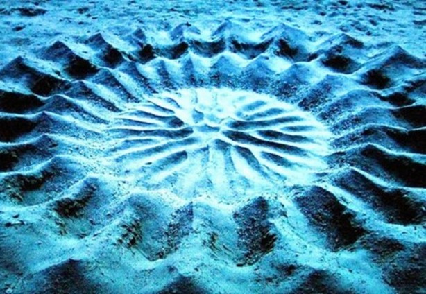 Foto - Gizemli yuvalar