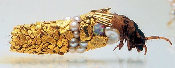 Foto - Gizemli yuvalar