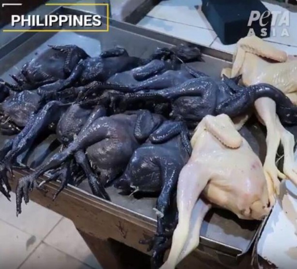 Foto - Gizli kamerayla çekildi! 'Bir sonraki salgın kaçınılmaz'