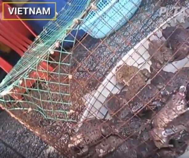 Foto - Gizli kamerayla çekildi! 'Bir sonraki salgın kaçınılmaz'