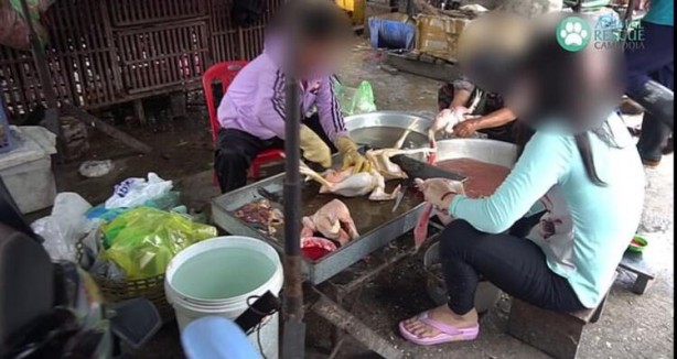 Foto - Gizli kamerayla çekildi! 'Bir sonraki salgın kaçınılmaz'