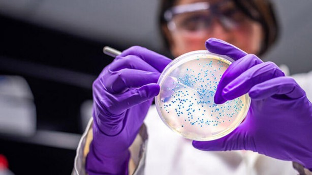 Foto - Gizli kamerayla çekildi! 'Bir sonraki salgın kaçınılmaz'