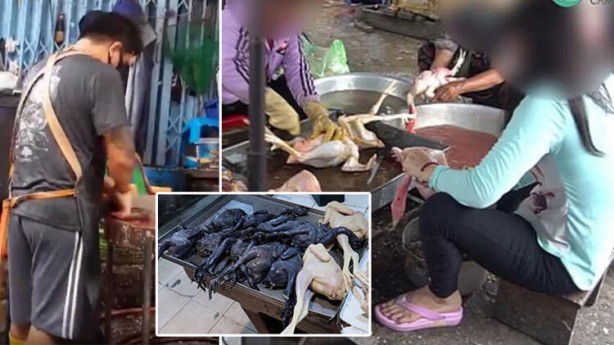 Foto - Gizli kamerayla çekildi! 'Bir sonraki salgın kaçınılmaz'