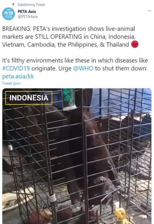 Foto - Gizli kamerayla çekildi! 'Bir sonraki salgın kaçınılmaz'