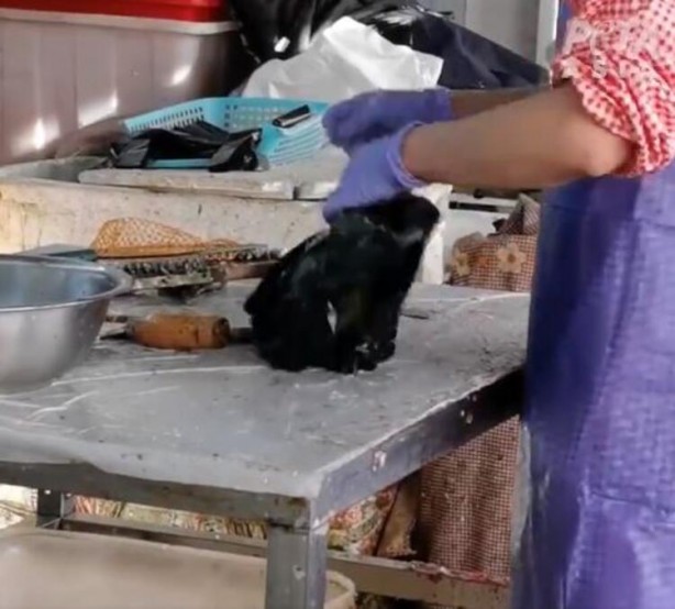 Foto - Gizli kamerayla çekildi! 'Bir sonraki salgın kaçınılmaz'