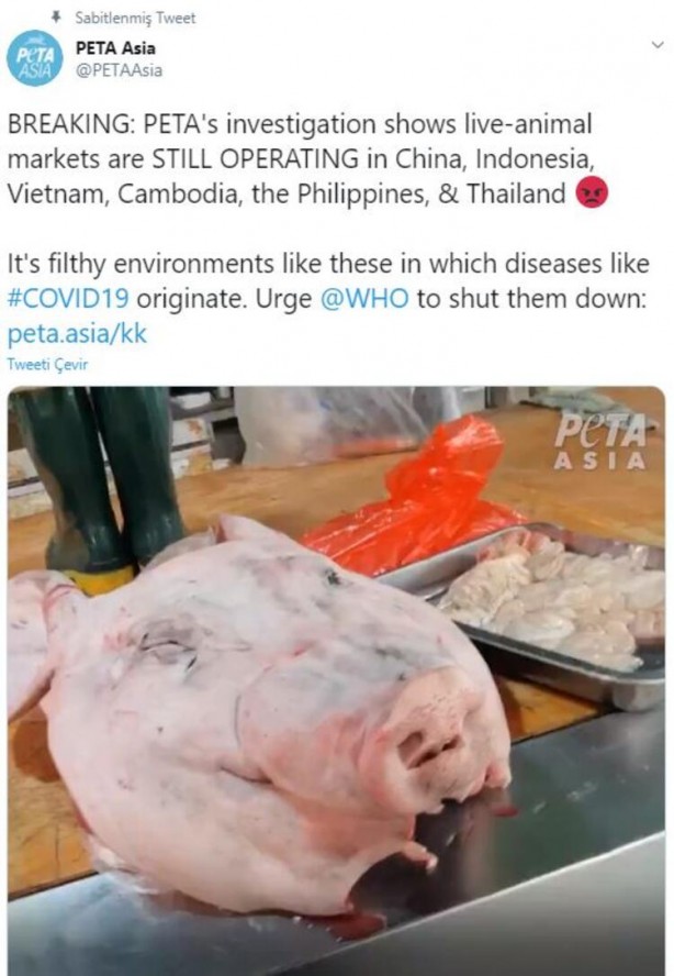 Foto - Gizli kamerayla çekildi! 'Bir sonraki salgın kaçınılmaz'