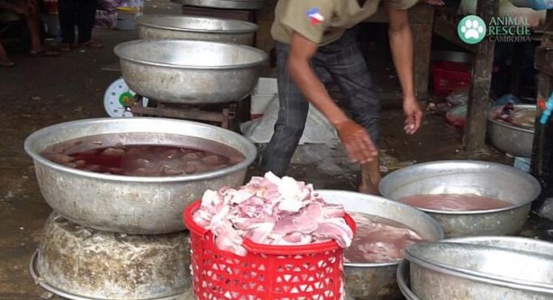 Foto - Gizli kamerayla çekildi! 'Bir sonraki salgın kaçınılmaz'