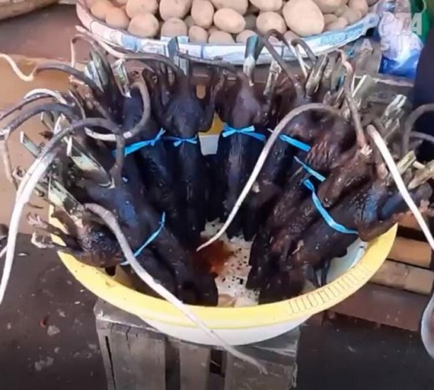 Foto - Gizli kamerayla çekildi! 'Bir sonraki salgın kaçınılmaz'