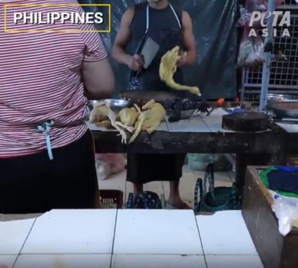 Gizli kamerayla çekildi! 'Bir sonraki salgın kaçınılmaz'