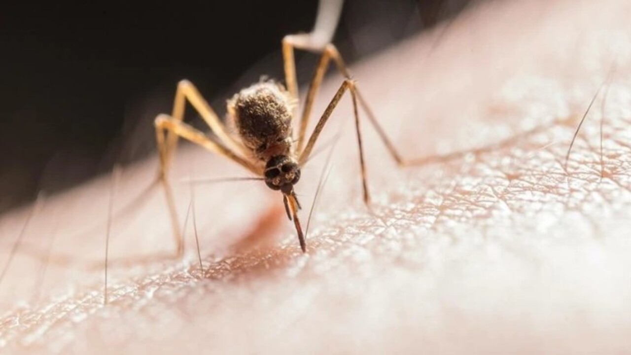 Foto - Gizli ölüm tehlikesi! O bölgelere seyahat edenlere dikkat