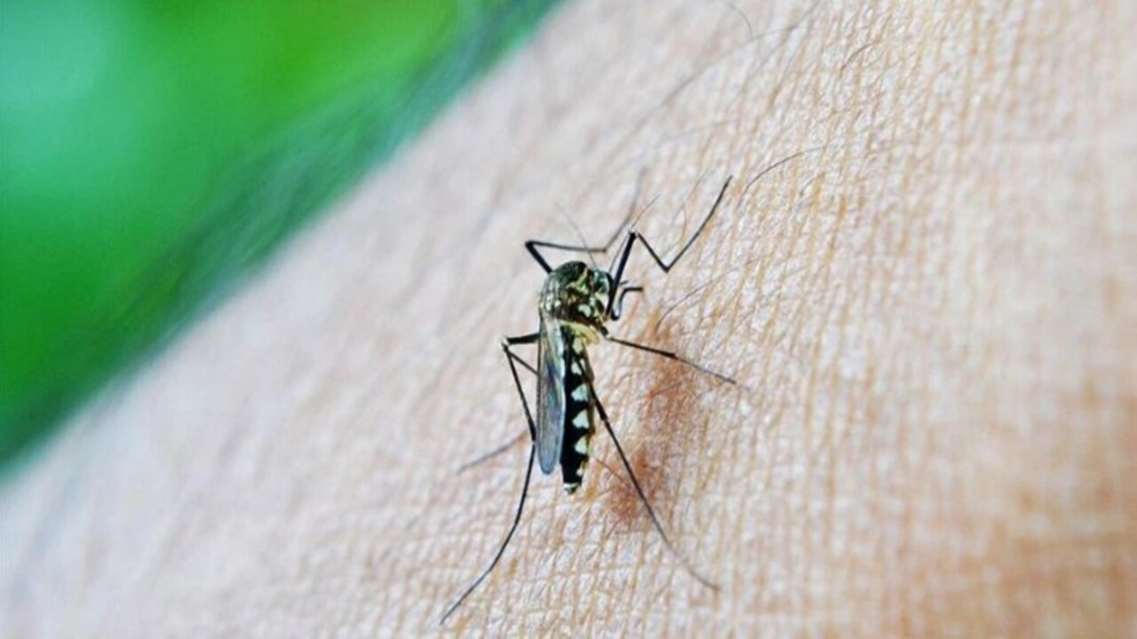 Foto - Gizli ölüm tehlikesi! O bölgelere seyahat edenlere dikkat