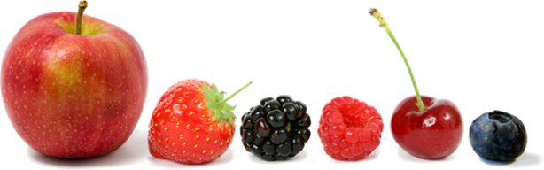 Foto - Göbeğinizi eritmek için 16 kural!