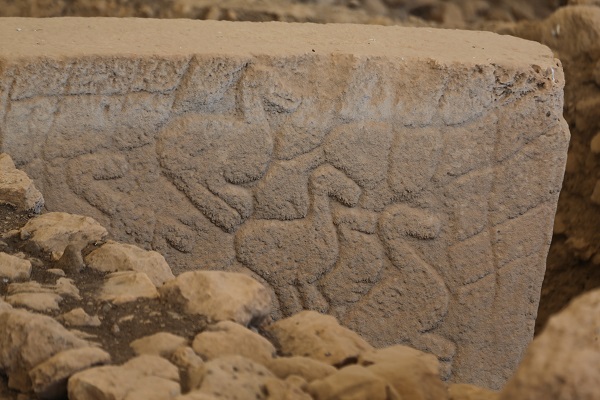 Foto - Göbeklitepe’de ara tatil yoğunluğu