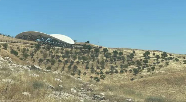 Foto - Göbeklitepe'de kazı alanına ağaç dikiliyor/Gerçeklerin üzeri örtülüyor! Kazı başkanı cevap verdi