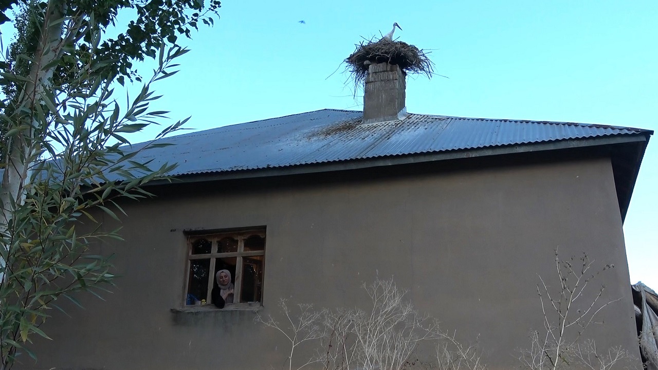 Foto - Göç etmekten vazgeçip Yüksekova'ya yerleştiler