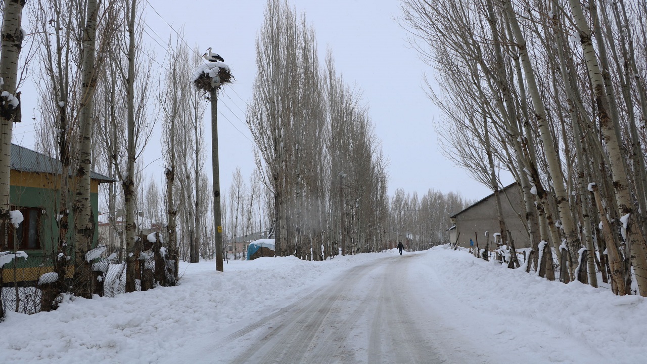 Foto - Göç etmekten vazgeçip Yüksekova'ya yerleştiler