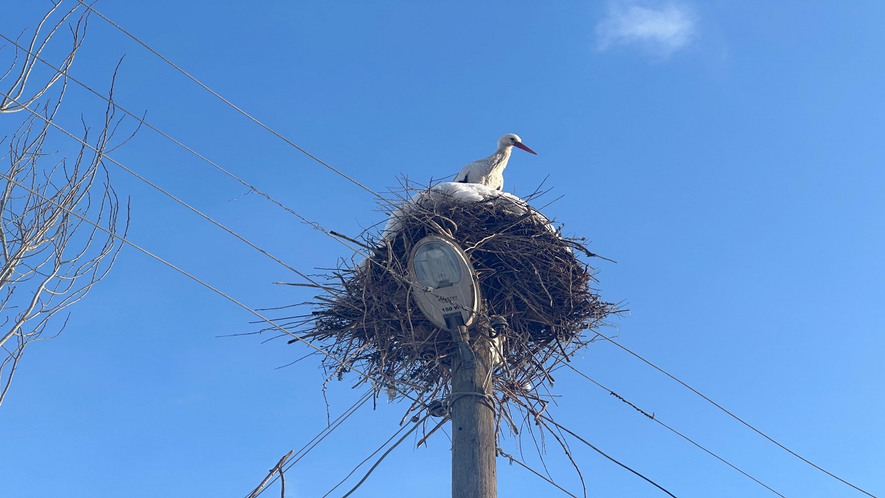Göç etmekten vazgeçip Yüksekova'ya yerleştiler