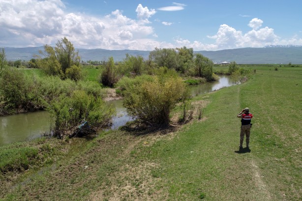 Foto - Göç yolcuğundaki inci kefalleri havadan ve karadan korunuyor