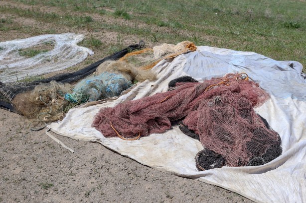 Foto - Göç yolcuğundaki inci kefalleri havadan ve karadan korunuyor