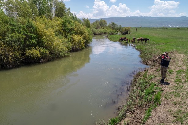Göç yolcuğundaki inci kefalleri havadan ve karadan korunuyor