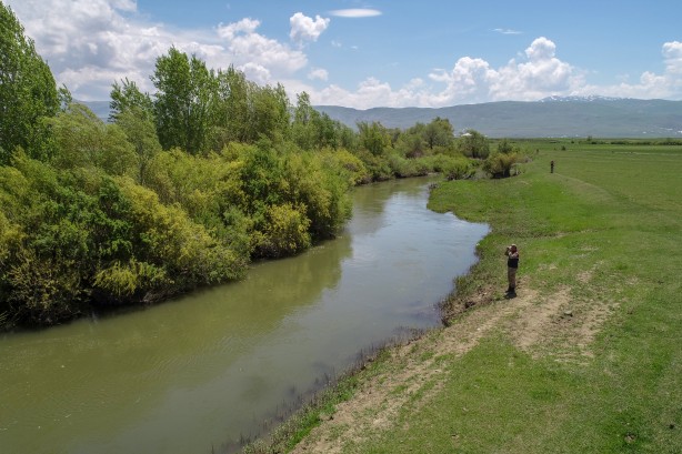 Foto - Göç yolcuğundaki inci kefalleri havadan ve karadan korunuyor