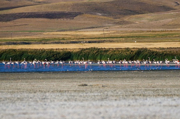 Foto - Göç yolcularının rotası: Erçek Gölü