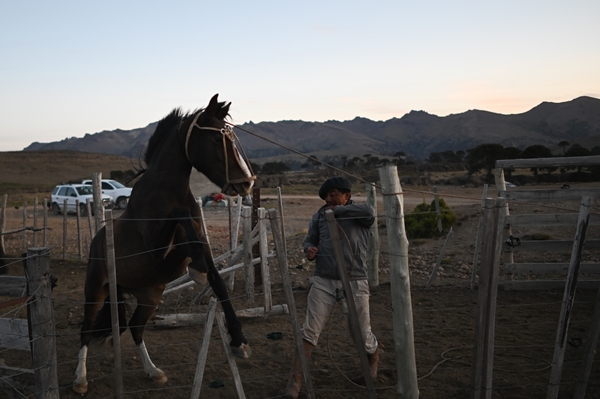 Foto - Göçebelerin "kışlama" yolculuğu başladı