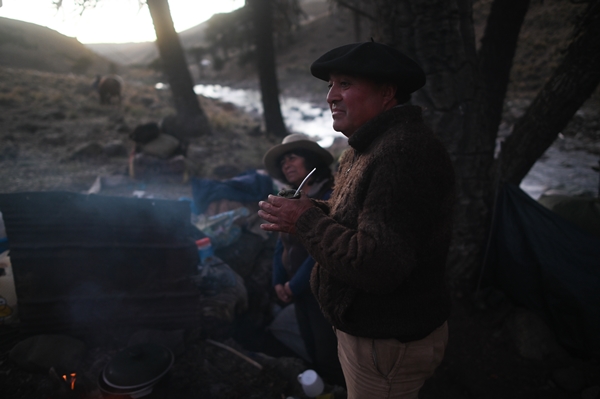 Göçebelerin "kışlama" yolculuğu başladı