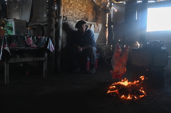 Foto - Göçebelerin "kışlama" yolculuğu başladı