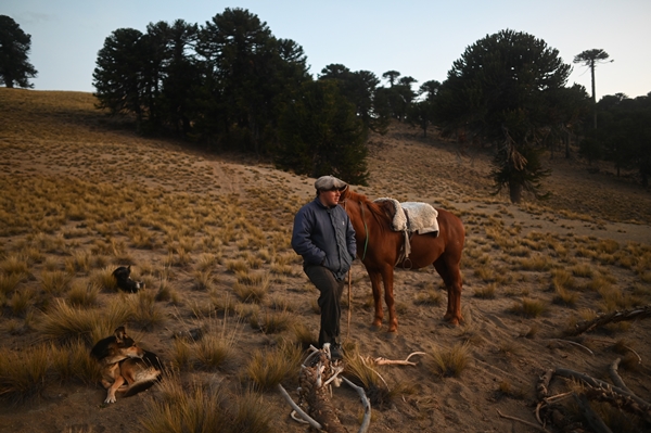 Foto - Göçebelerin "kışlama" yolculuğu başladı