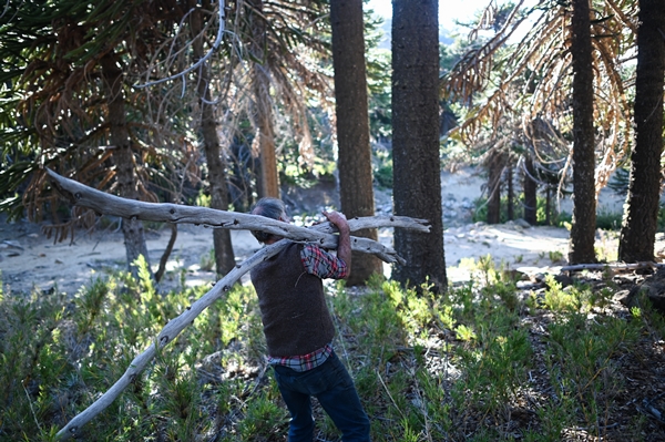 Foto - Göçebelerin "kışlama" yolculuğu başladı